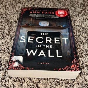 The Secret in the Wall by Ann Parker Book